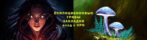 героин Алзамай